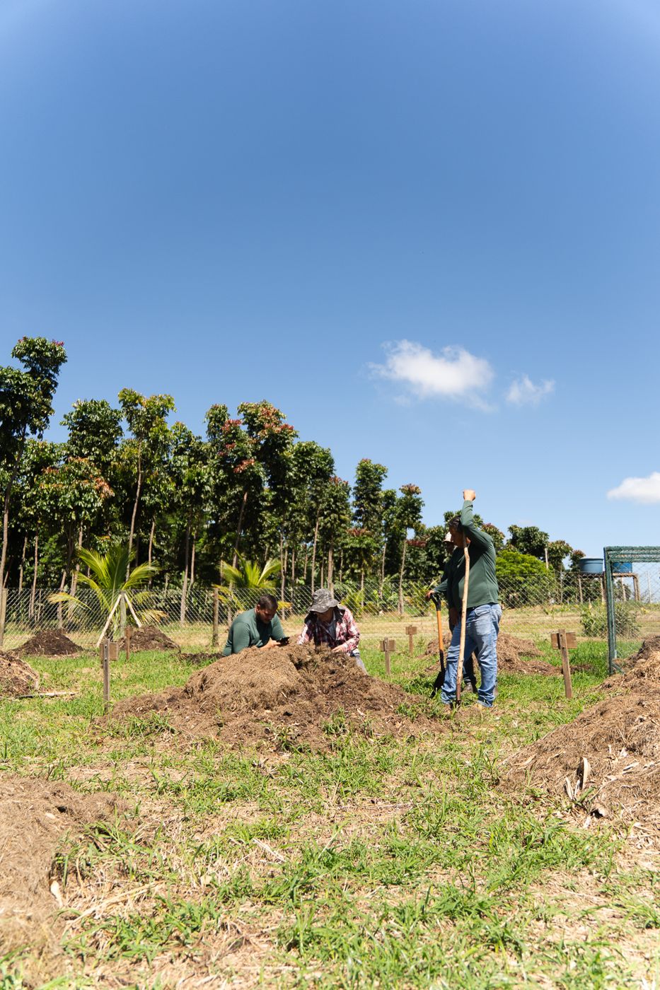 Equipe manejando uma leira de compostagem em um pátio gramado, com árvores e céu azul ao fundo